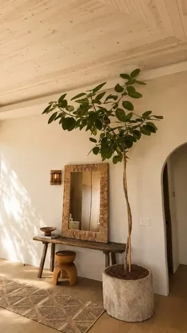 camillestyles Instagram post about Indoor tree styling