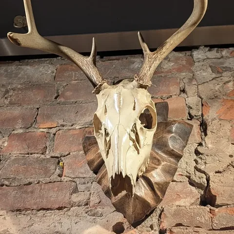 cannot_be_tamed Instagram post about Restaurant review