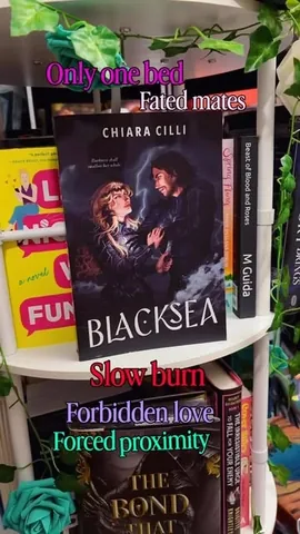 canxdancexreads Instagram post about Black Sea book recommendation