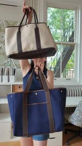 carly Instagram post about Tote bag comparison