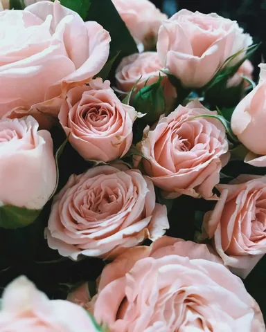 catholicwifecatholiclife Instagram post about Catholic feast day reflection