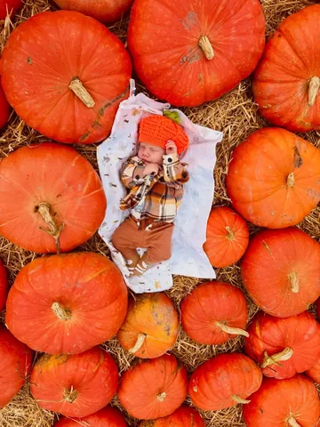 cathy__rose Instagram post about Pumpkin patch visit