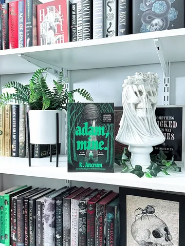 cbookaddiction Instagram post about Book feature