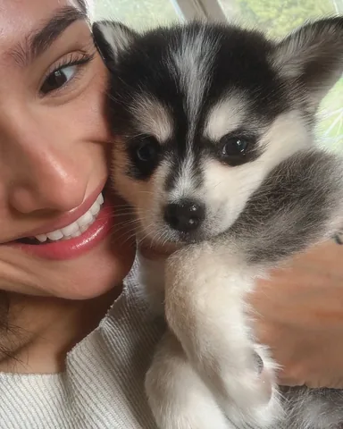 chachigonzales Instagram post about Pet adoption