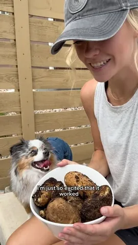 chaoswithkoda Instagram post about Dog garden activity
