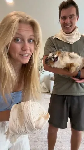 chaoswithkoda Instagram post about Dog challenge
