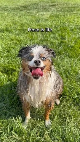 chaoswithkoda Instagram post about Water play