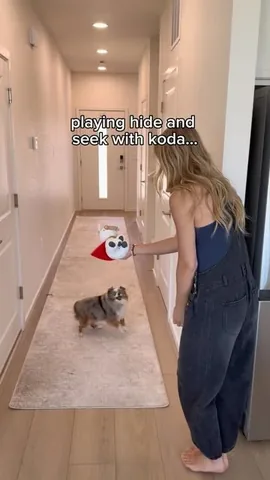 chaoswithkoda Instagram post about Dog games