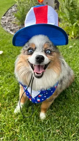 chaoswithkoda Instagram post about Fourth of July
