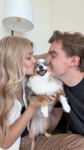 chaoswithkoda Instagram post about Dog relationships