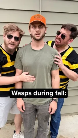 charlieberens Instagram post about Bee and wasp comedy