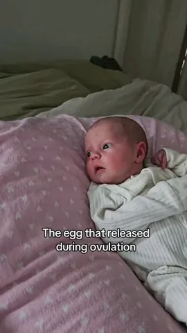 chelsealeighdamon Instagram post about Twins and family history