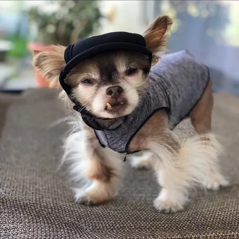 chewiethechi Instagram post about Affection