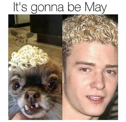 chewiethechi Instagram post about Unspecified visual content