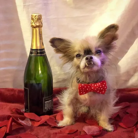 chewiethechi Instagram post about Affection