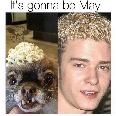 chewiethechi Instagram post about Personal tradition