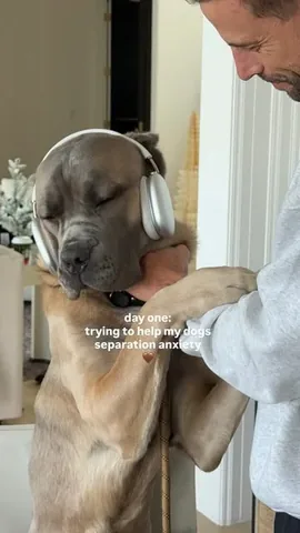 christineandrew Instagram post about Pets