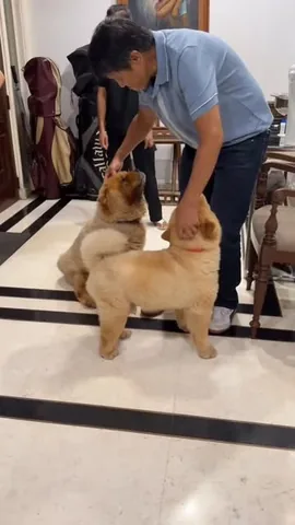 churroandtoffee Instagram post about Family reunion