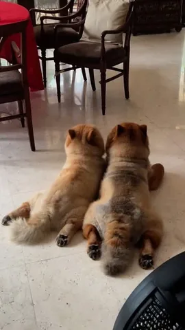 churroandtoffee Instagram post about Friendship