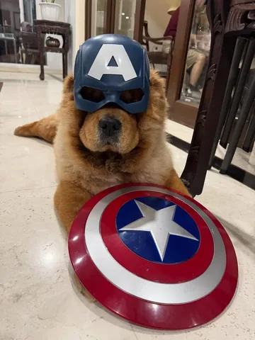 churroandtoffee Instagram post about Dog superhero play