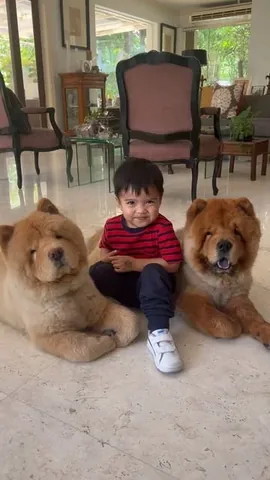 churroandtoffee Instagram post about Pet companionship