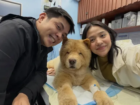 churroandtoffee Instagram post about Toffee’s health recovery