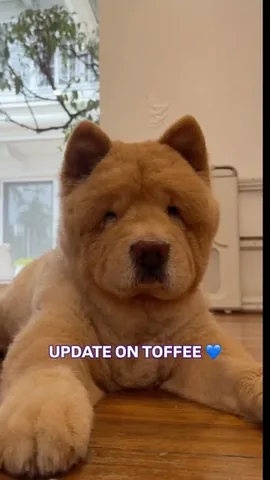 Churro and Toffee Instagram post thumbnail