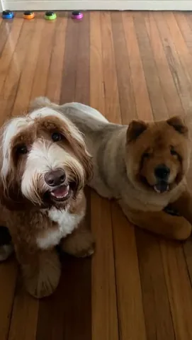 Churro and Toffee Instagram post thumbnail