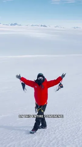 cleoabram Instagram post about Antarctic land animals