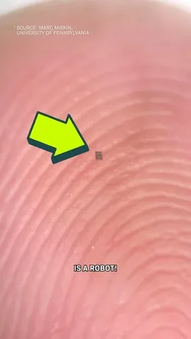 cleoabram Instagram post about Medical microrobotics