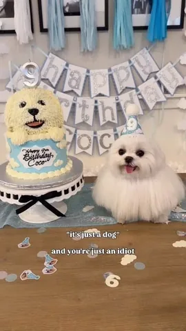 cocothemaltesedog Instagram post about Pets as family