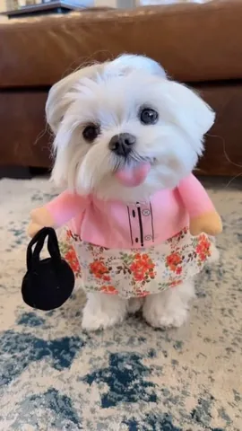 Coco & Cici Instagram post thumbnail