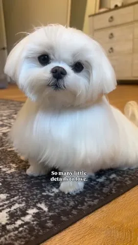 Coco & Cici Instagram post thumbnail