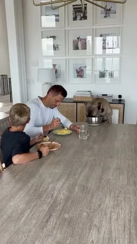 codywestonandrew Instagram post about Dog food