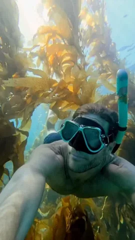 coreybrooks Instagram post about Scuba diving