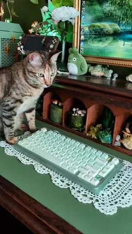 cozy.goblin.gaming Instagram post about Evo75 keyboard review