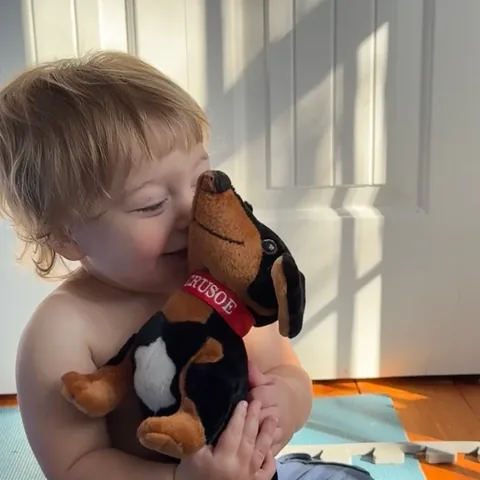crusoe_dachshund Instagram post about Dog and plush toy interaction