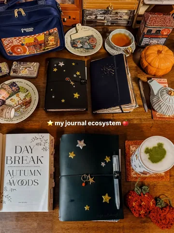 cupsandthoughts Instagram post about Journaling system