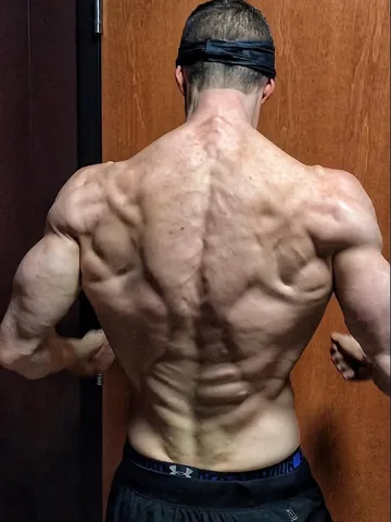 cwteamwilson Instagram post about Muscle growth