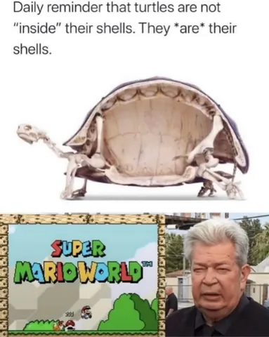 _dadthatgames Instagram post about Mario meme