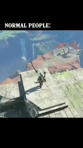 _dadthatgames Instagram post about Zelda meme