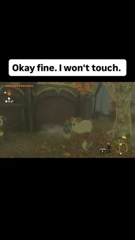 _dadthatgames Instagram post about Zelda meme