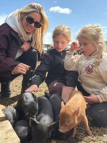 dadvgirls Instagram post about Micro pigs