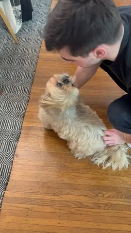 dailydougie Instagram post about Relaxation
