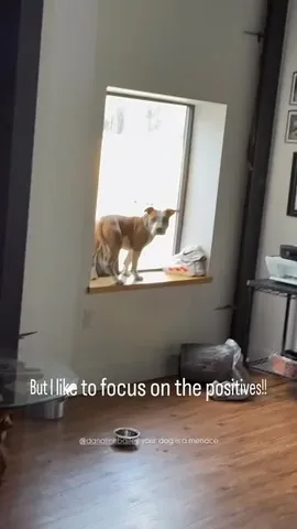 danalinnbailey Instagram post about Humor