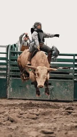 danalinnbailey Instagram post about Bull riding