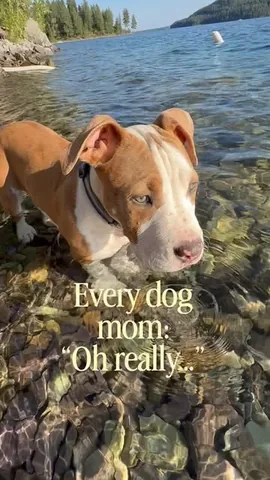 danalinnbailey Instagram post about Humor