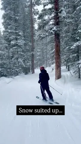 dapperprofessional Instagram post about Skiing trip