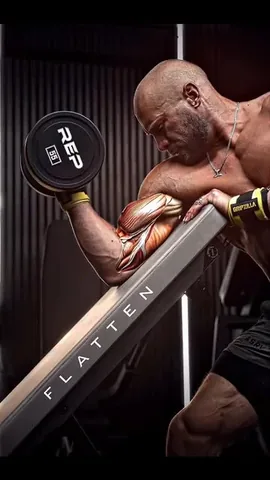 davis.diley Instagram post about Arm exercise selection