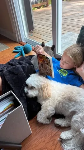 dbusby Instagram post about Homeschooling